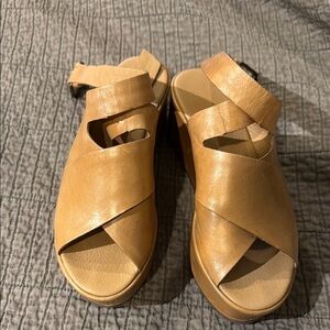 Matisse wedges